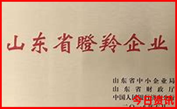 鹞落坪自驾游旅游攻略